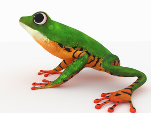 frog Model 3D