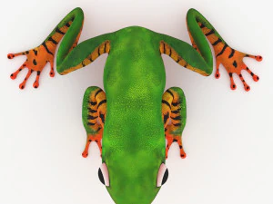 frog 3D Model