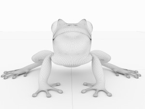 frog Model 3D