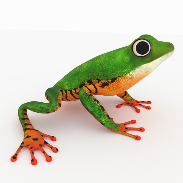 frog Model 3D .c4d .max .obj .3ds .fbx .stl .blend 