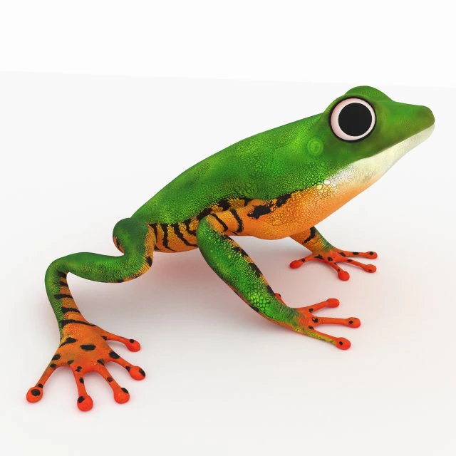 frog 3D Model .c4d .max .obj .3ds .fbx .stl .blend 
