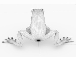 frog Model 3D