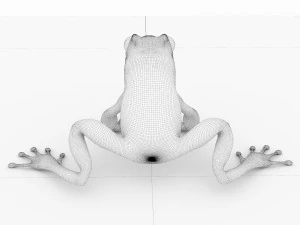 frog 3D Model