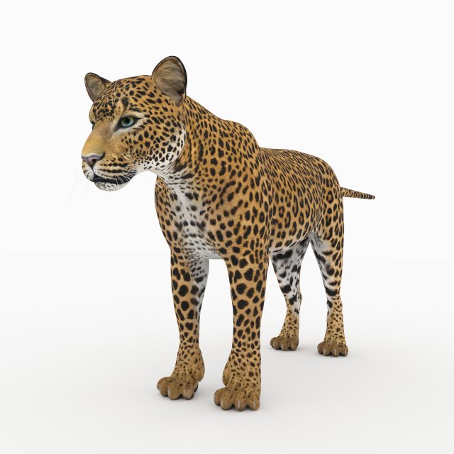 jaguar4 3D Model .c4d .max .obj .3ds .fbx .stl .blend
