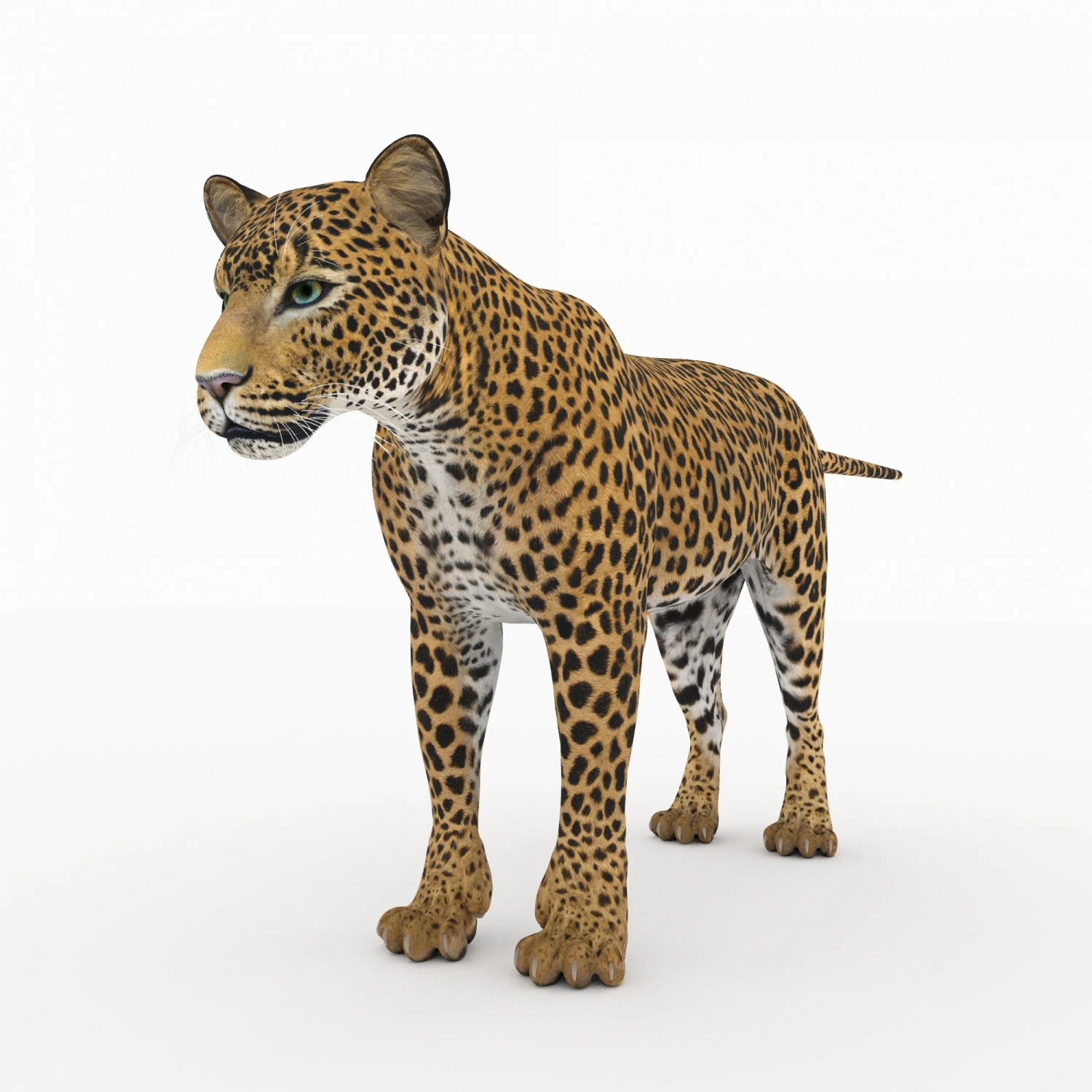 jaguar4 3D Model .c4d .max .obj .3ds .fbx .stl .blend 
