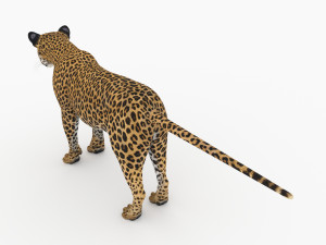 jaguar4 3D Model