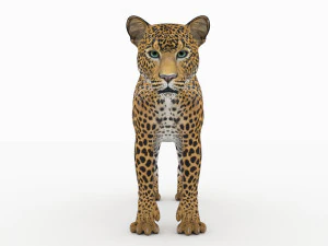 jaguar4 3D Model