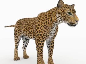 jaguar4 3D Model