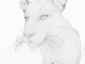 jaguar4 3D Model