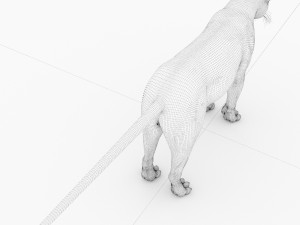 jaguar4 3D Model