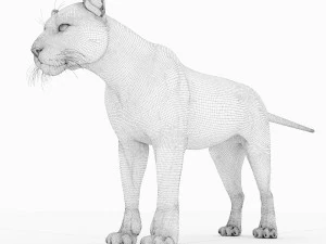 jaguar4 3D Model