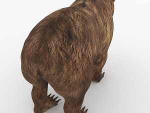 bear 6 Modelo 3D