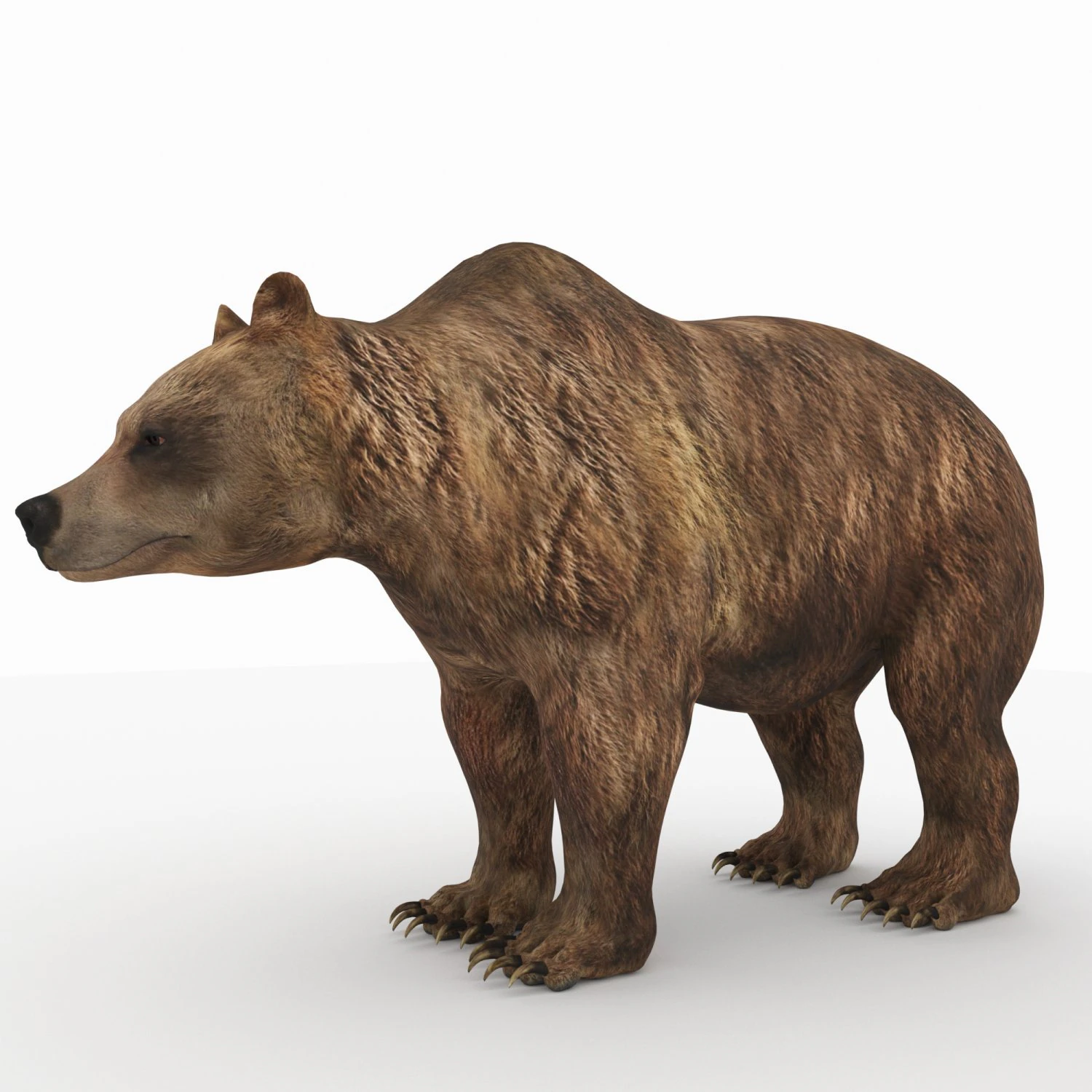 bear 6 3D Model .c4d .max .obj .3ds .fbx .stl .blend