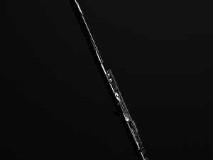 flute 3D Model