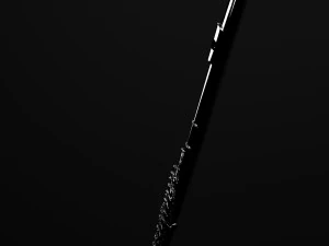 flute 3D Model