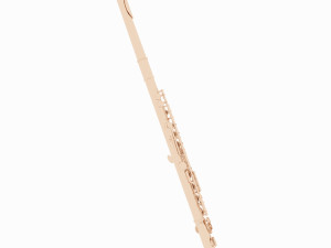 flute 3D 모델