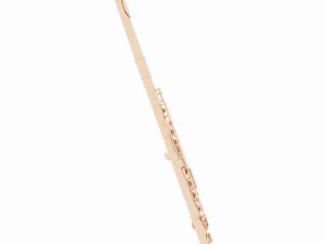 flute 3D Model