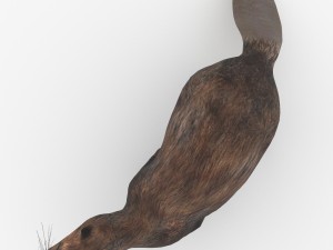 beaver Modelo 3D