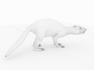beaver Modelo 3D