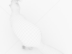 beaver Modelo 3D