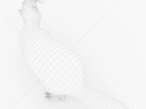 бобер 3D Модель