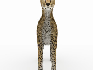 cheetah 3D Модель