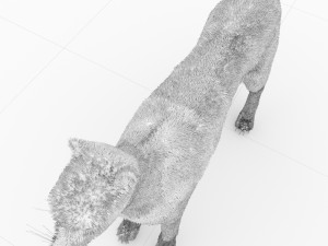 cheetah 3D Модель
