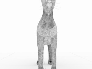 cheetah 3D Модель