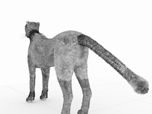 cheetah 3D Модель