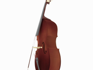 double bass 3D Model