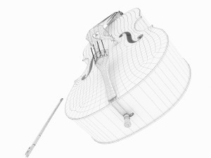 double bass 3D Model