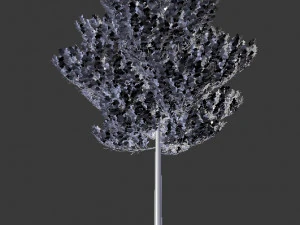 tree 3D Model