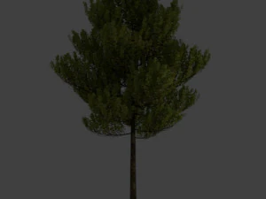 tree 3D Model