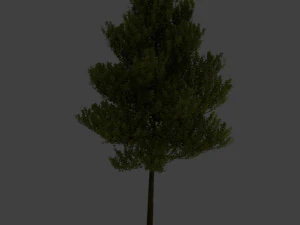 tree 3D Model