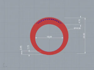 ring bombe 3D Model