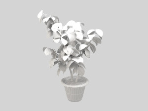 plant 3D Model