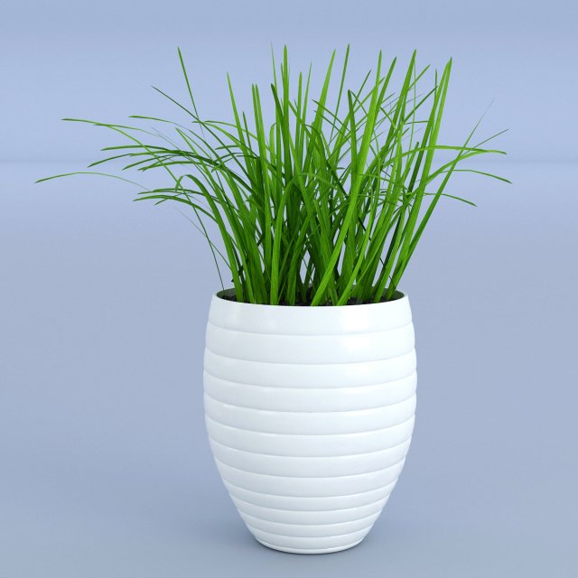 flower grass pot Model 3D .c4d .max .obj .3ds .fbx .stl .blend 