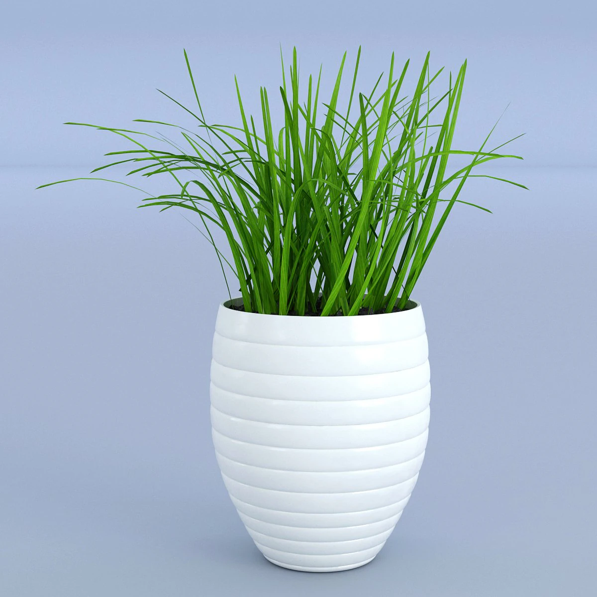 flower grass pot 3D Model .c4d .max .obj .3ds .fbx .stl .blend 