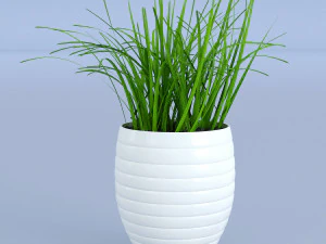 फूल घास का बर्तन 3D मॉडल