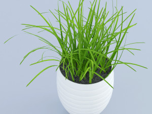 flower grass pot Model 3D