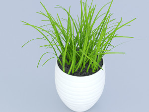 flower grass pot Model 3D