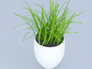 flower grass pot 3D Model