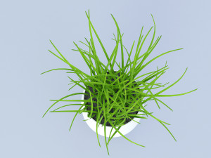 flower grass pot Model 3D