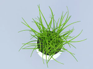 flower grass pot 3D Model