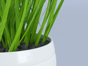 flower grass pot Model 3D