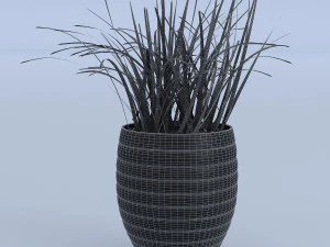 flower grass pot 3D Model