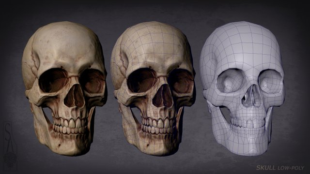 skull game-ready asset and 3d print 3D-Modell .c4d .max .obj .3ds .fbx .stl .blend 