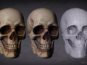 Totenkopf spielbereites Asset und 3D-Druck 3D Modell