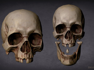 skull game-ready asset and 3d print 3D-Modell