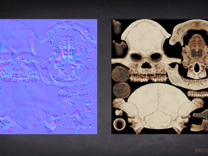 skull game-ready asset and 3d print 3D Model